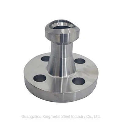 WNR 2.4819 ASTM B564 Hastelloy C276 WeldoFlange